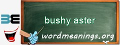 WordMeaning blackboard for bushy aster